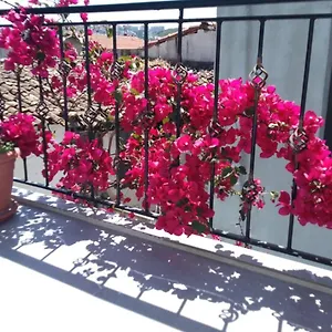 Casa Magnolia Boutique Отель